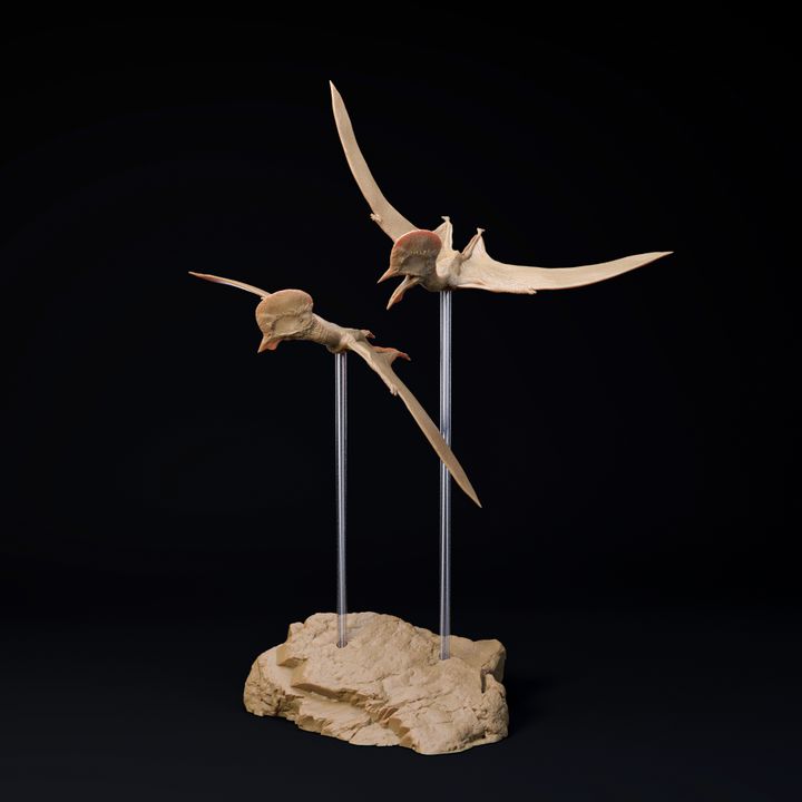 Afrotapejara pair 1-35 scale