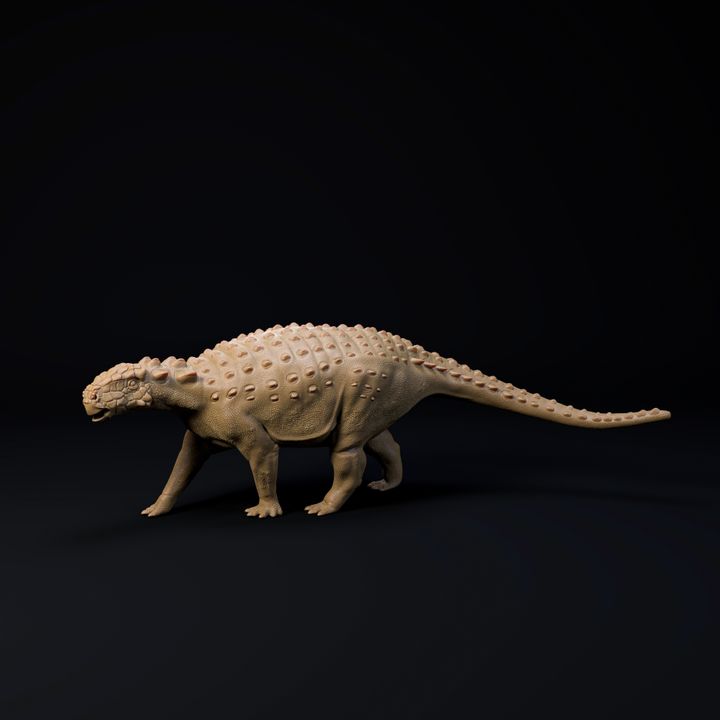 Minmi 1-35 scale