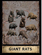 Giant Rats