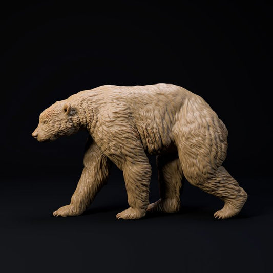 Arctodus Simus Short faced bear