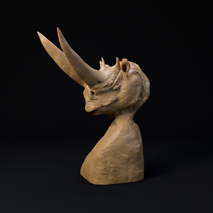 Arsinoitherium bust
