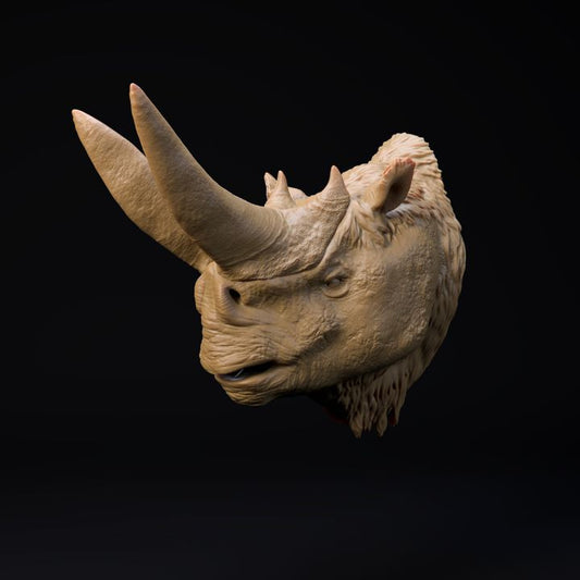 Arsinoitherium mount-head
