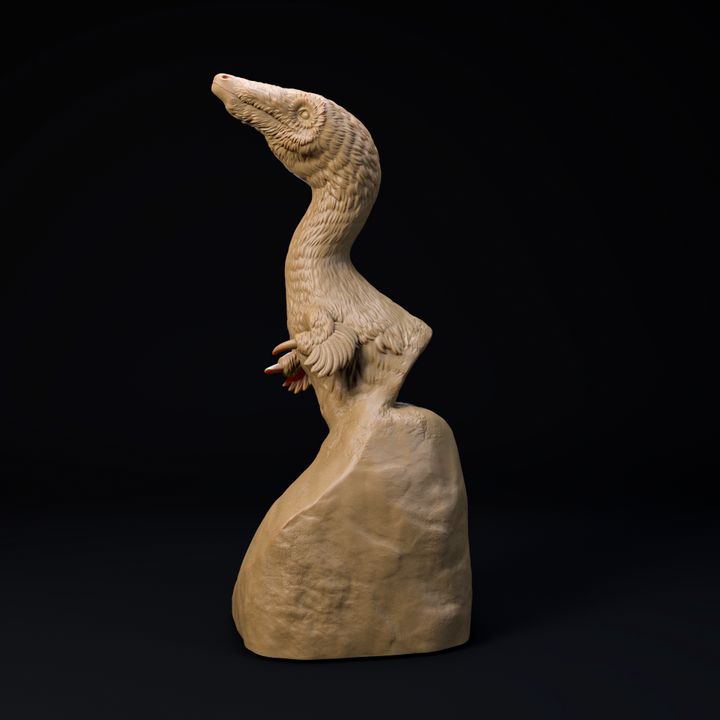 Mononykus bust