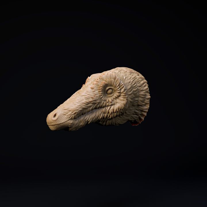 Mononykus mount - head