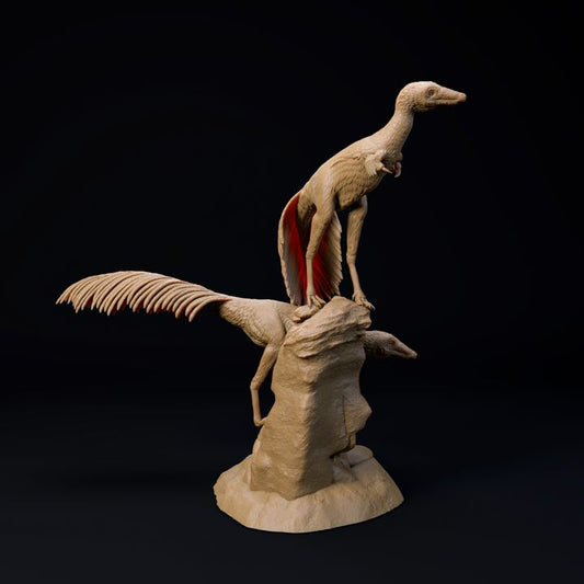 Mononykus pair 1-6 scale