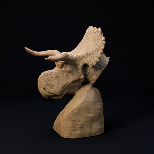 Nasutoceratops bust