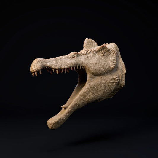 Spinosaurus mount-head