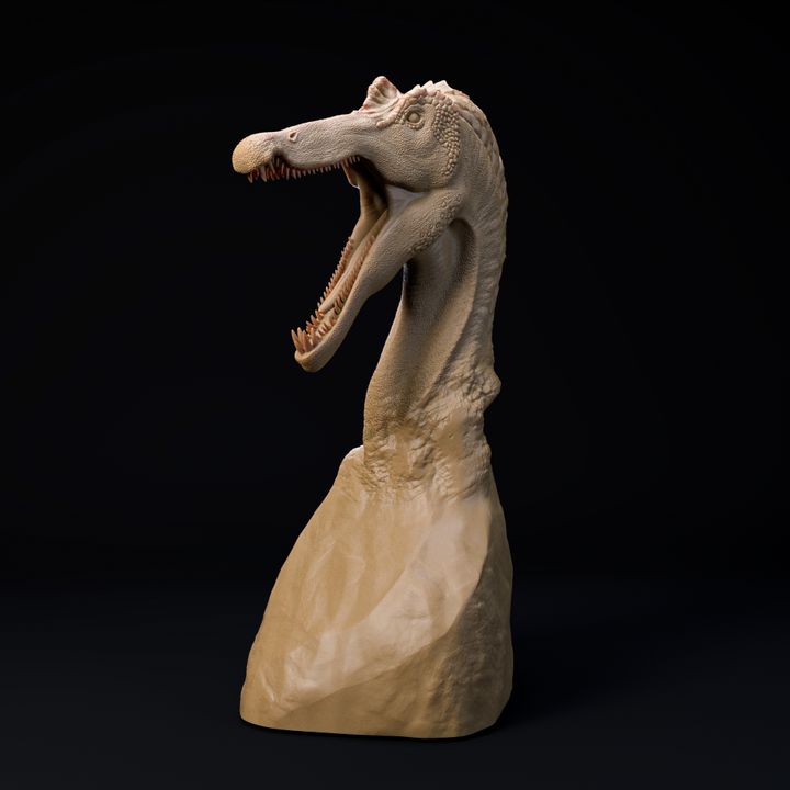 Suchomimus bust