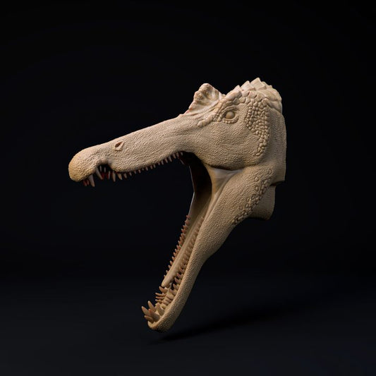 Suchomimus mount-head