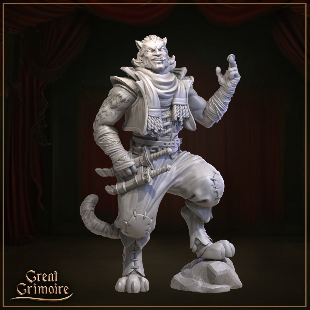 Mr Cat Kitsune Catman Tabaxi