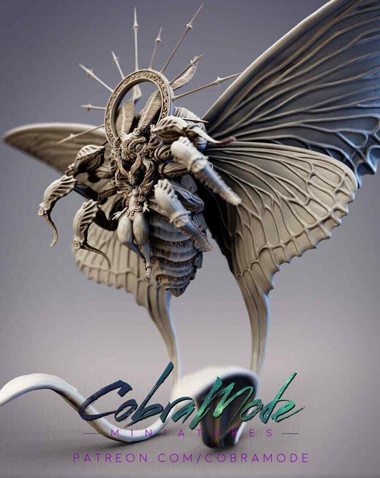 Psilomonedes, Noctuoidea Moth Pontifex