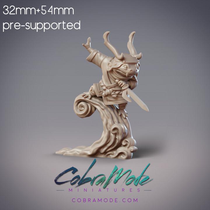 Salamander Shinobi - Hanshiro, Hanzaki Ninja (Hachiwari)