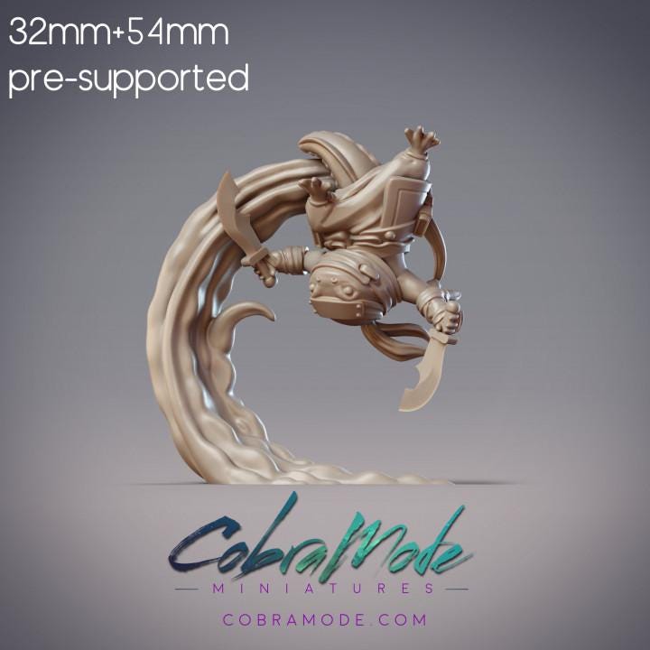 Salamander Shinobi - Hayami, Hanzaki Ninja (Dual Swords)