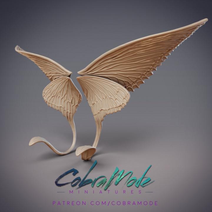 Large Butterfly Wings