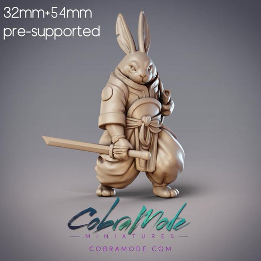 Rabbitfolk Warrior - Coiled Strike, Guanghan Swordsman