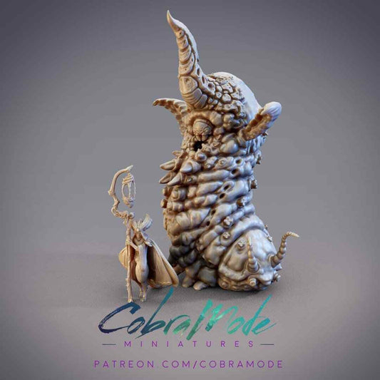 Psaphidina Fidelium Tamer Caterpillar