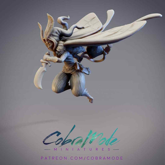 Axenus, Noctuoidea Moth Rogue