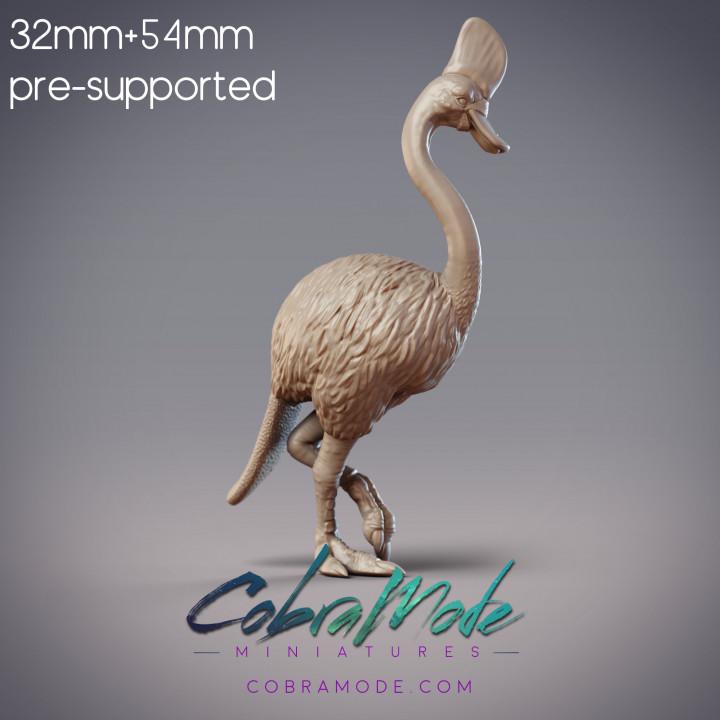 Platywary - Platypus Cassowary Hybrid