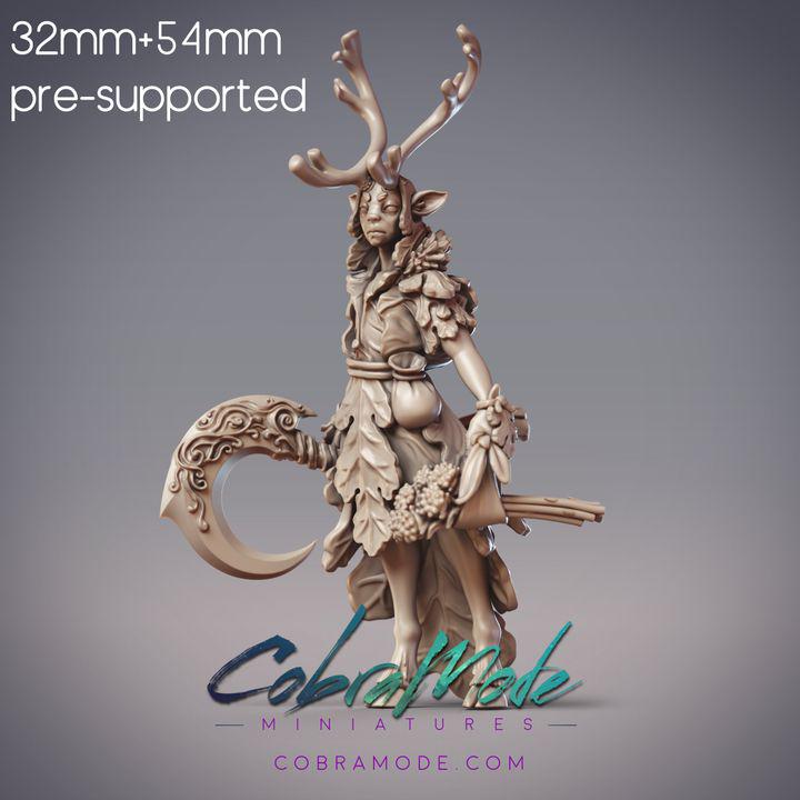 Elven Herb Master - Odhran, Ciorcal Druid