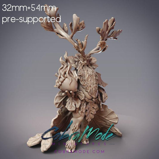 Elven Oakfather - Torramhan, Ciorcal Druid