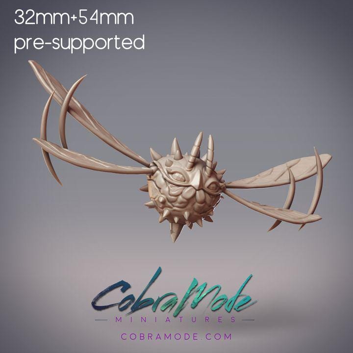 Huge Insect - Celeroptera Giant Gnat