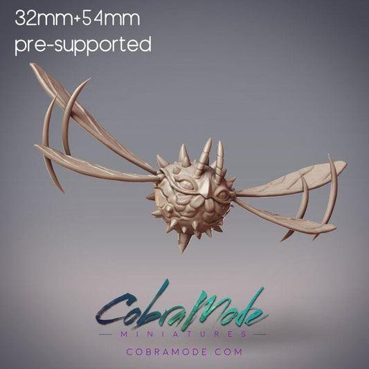 Huge Insect - Celeroptera Giant Gnat