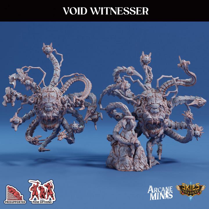 Void Witnesser