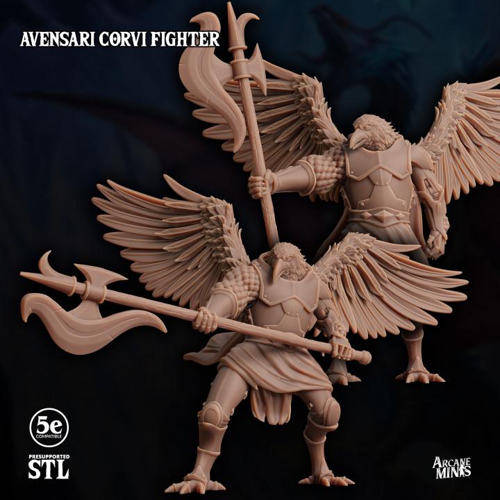 Avensari Corvi Fighter