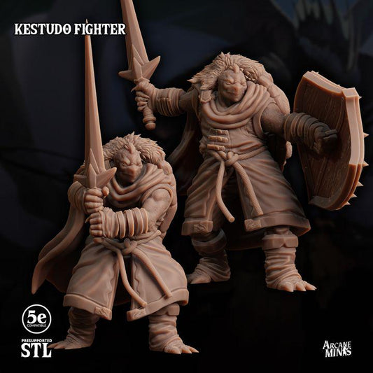 Kestudo Fighter
