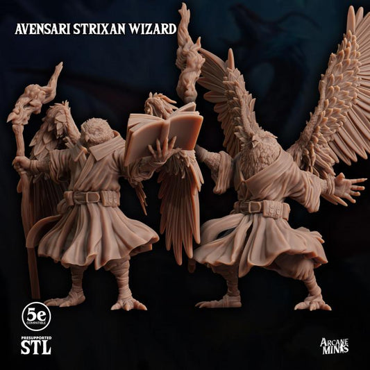 Avensari Strixan Wizard