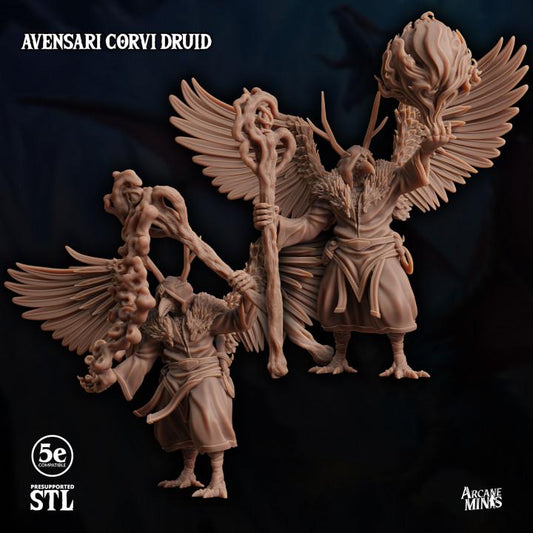 Avensari Corvi Druid