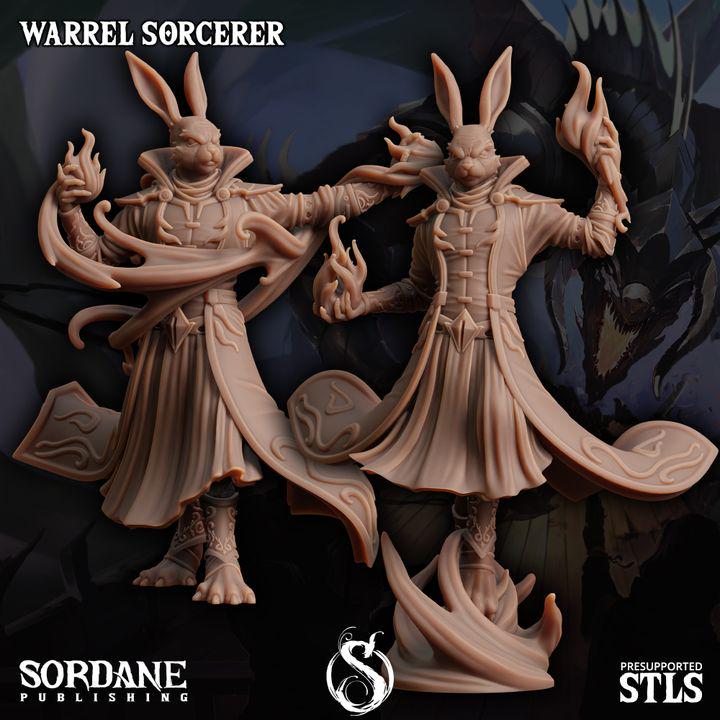 Warrel Sorcerer