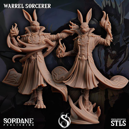Warrel Sorcerer