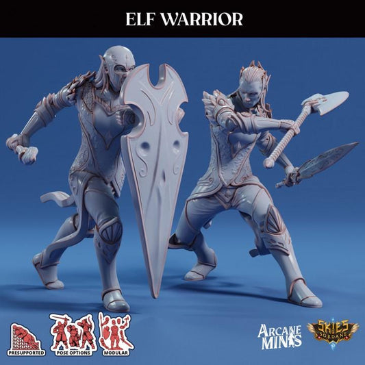 Elf Warrior