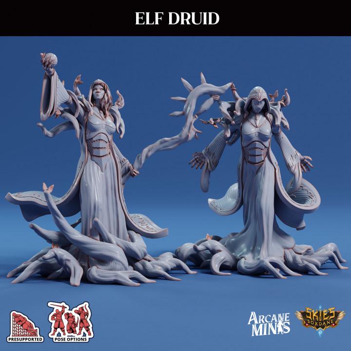 Elf Druid
