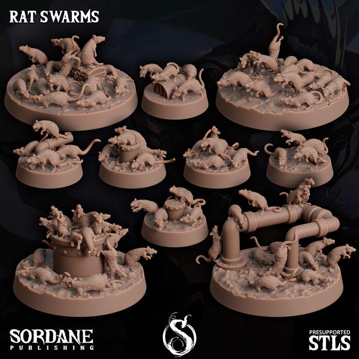 Rat Swarms