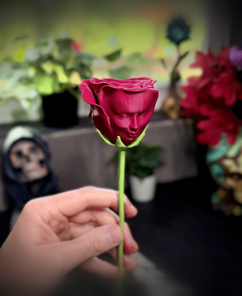 The Awakened Rose