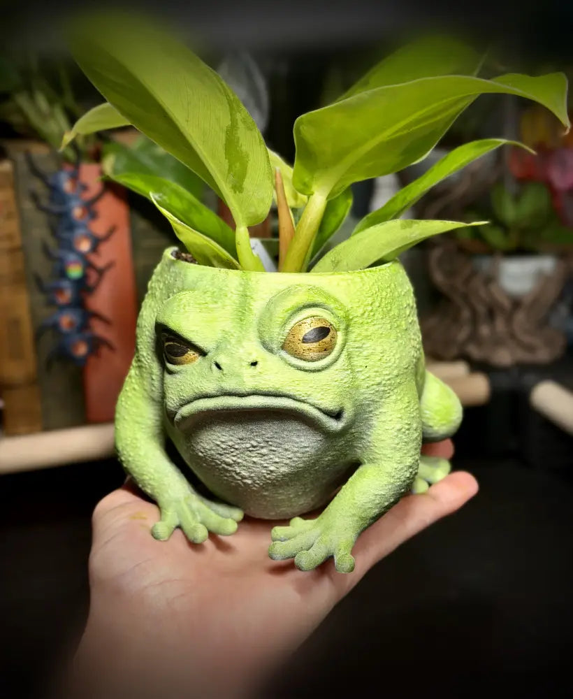Angry frog planter