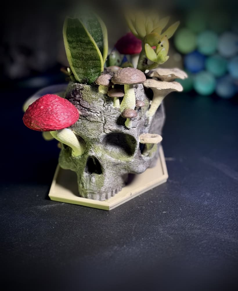 The Reclaimed Skull Planter