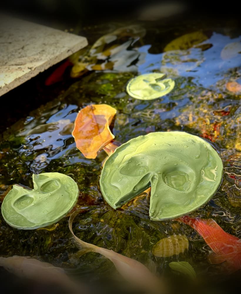 Skull lilly pad