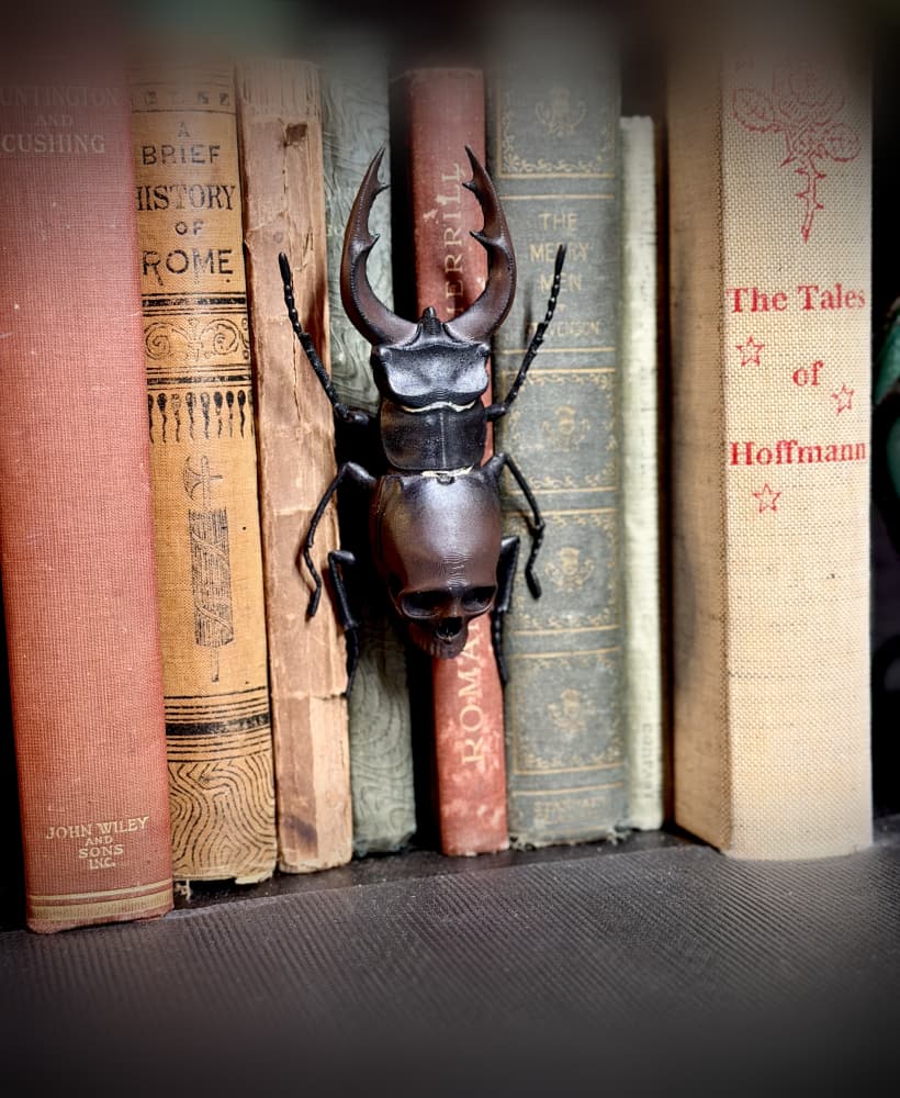 skull stag beetle spine hugger