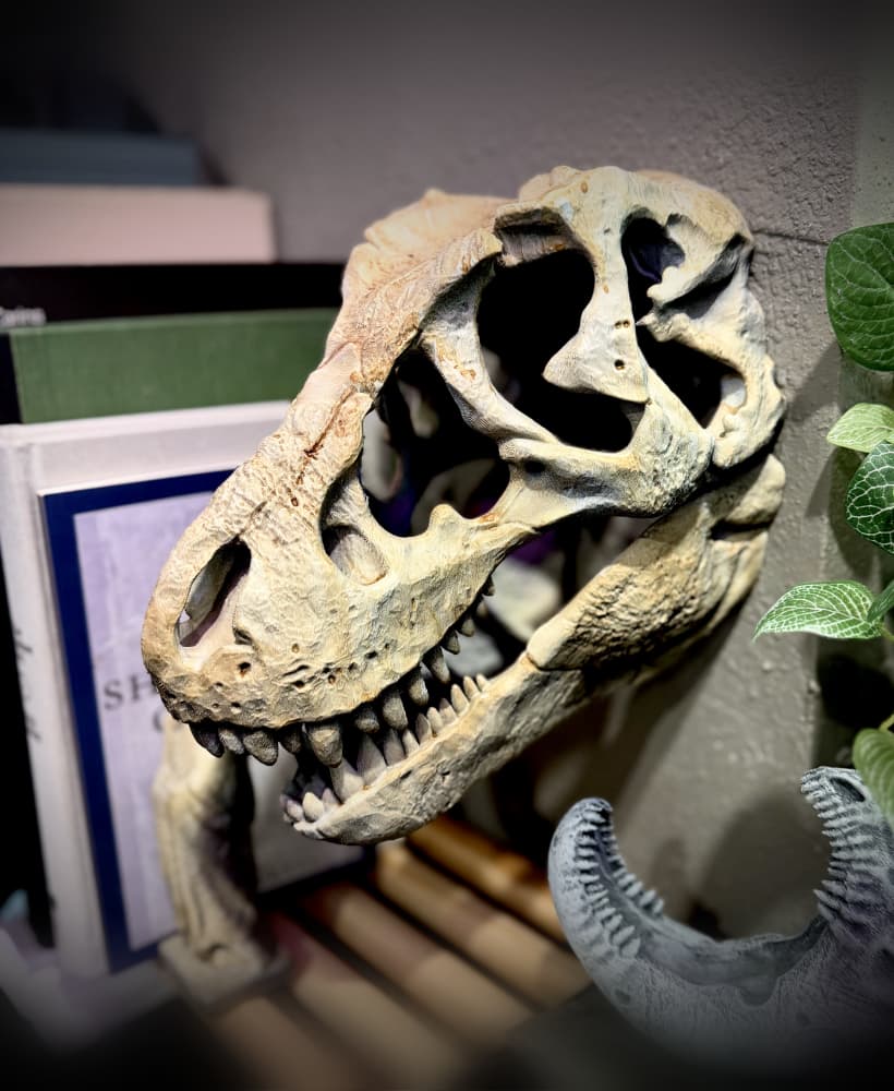 Wall mounted T-rex skull