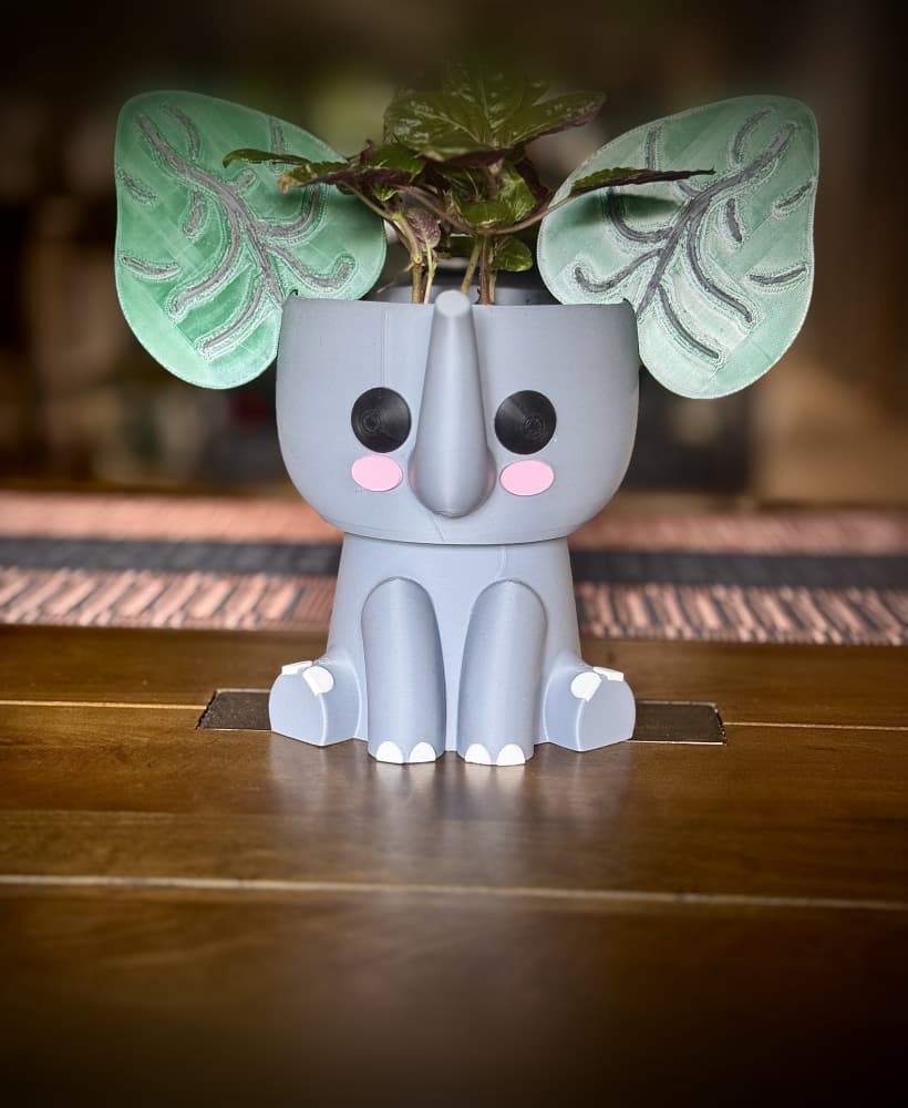 Elephant Ears Planter and Coasters