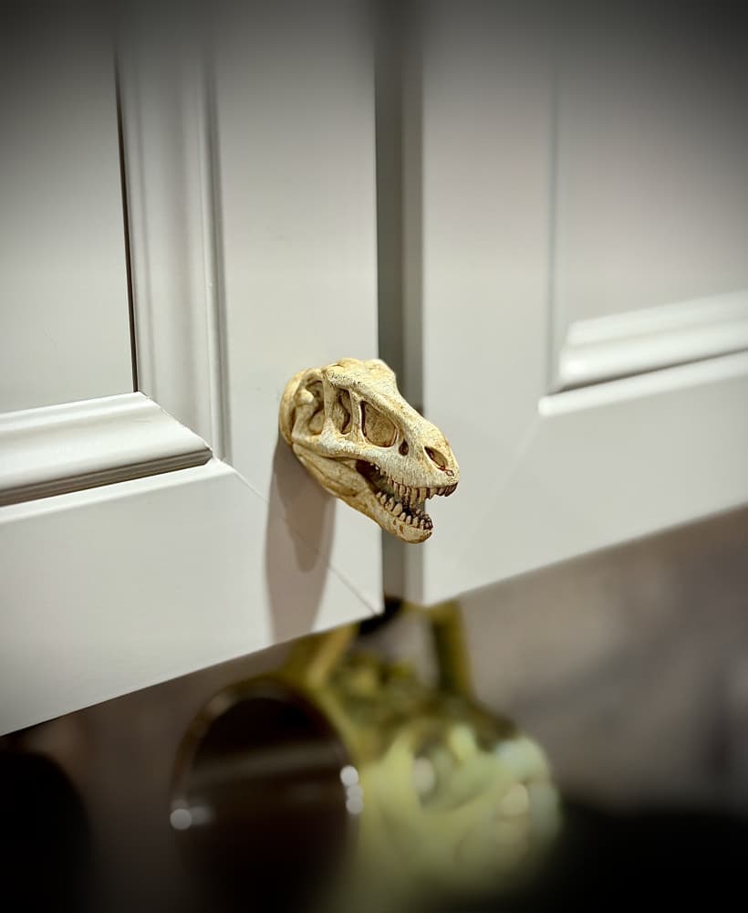 T rex skull drawer pull
