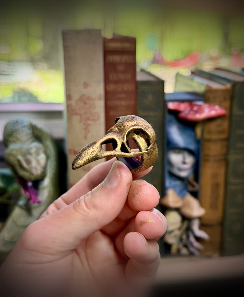 Raven skull ring