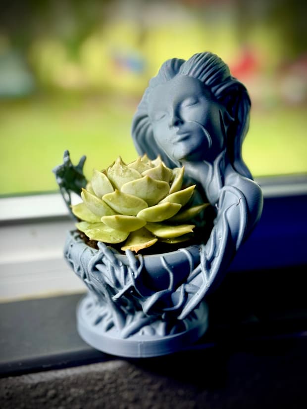 Mother nature planter