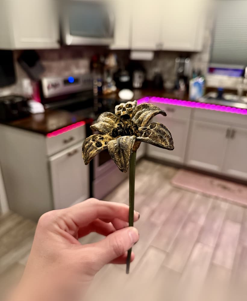 The forbidden Lilly