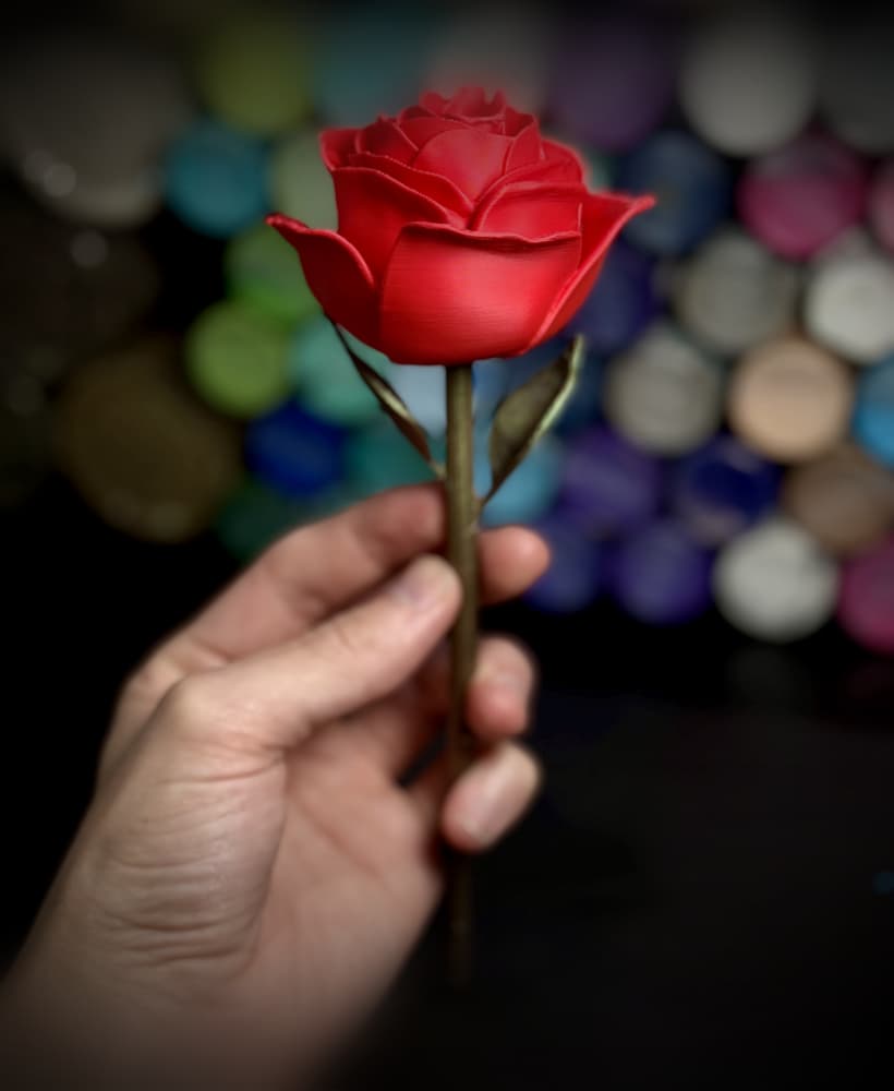 Rose