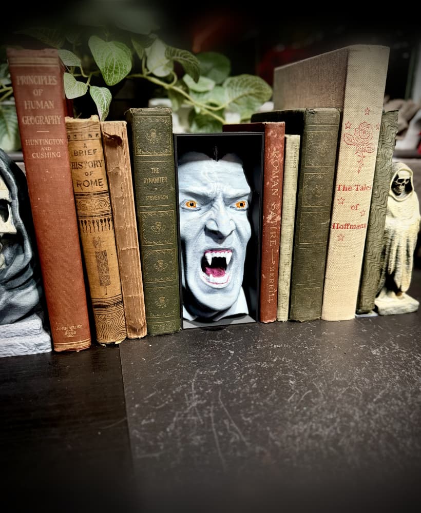 Dracula book nook