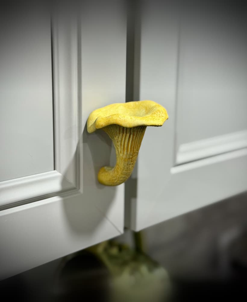 Chanterelle mushroom drawer pull
